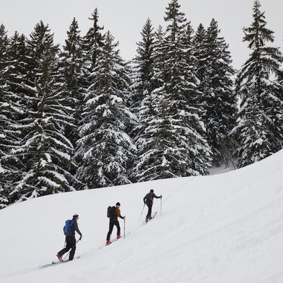 Ein andauerndes Auf und Ab