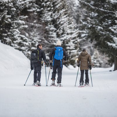 Quand la nuit tombe, dans la montagne