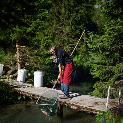 Auf den Fisch gekommen