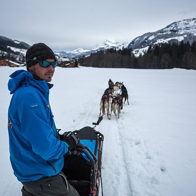 Running free with the dogs